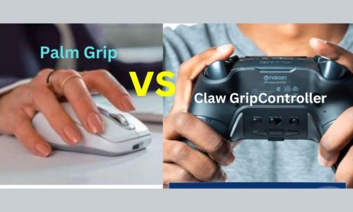 Claw Grip vs. Palm Grip Controller