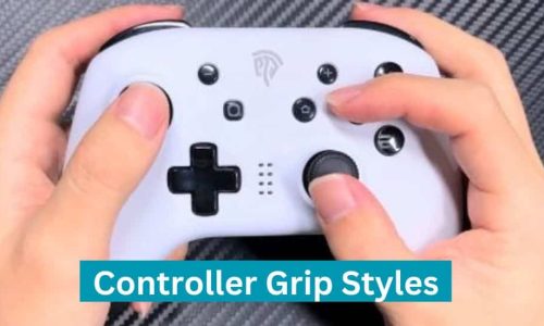 Controller Grip Styles