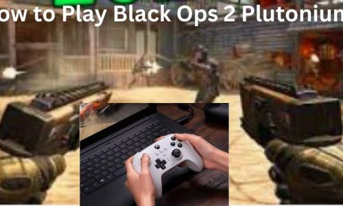 How to Play Black Ops 2 Plutonium