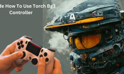 how to use torch bg3 controller